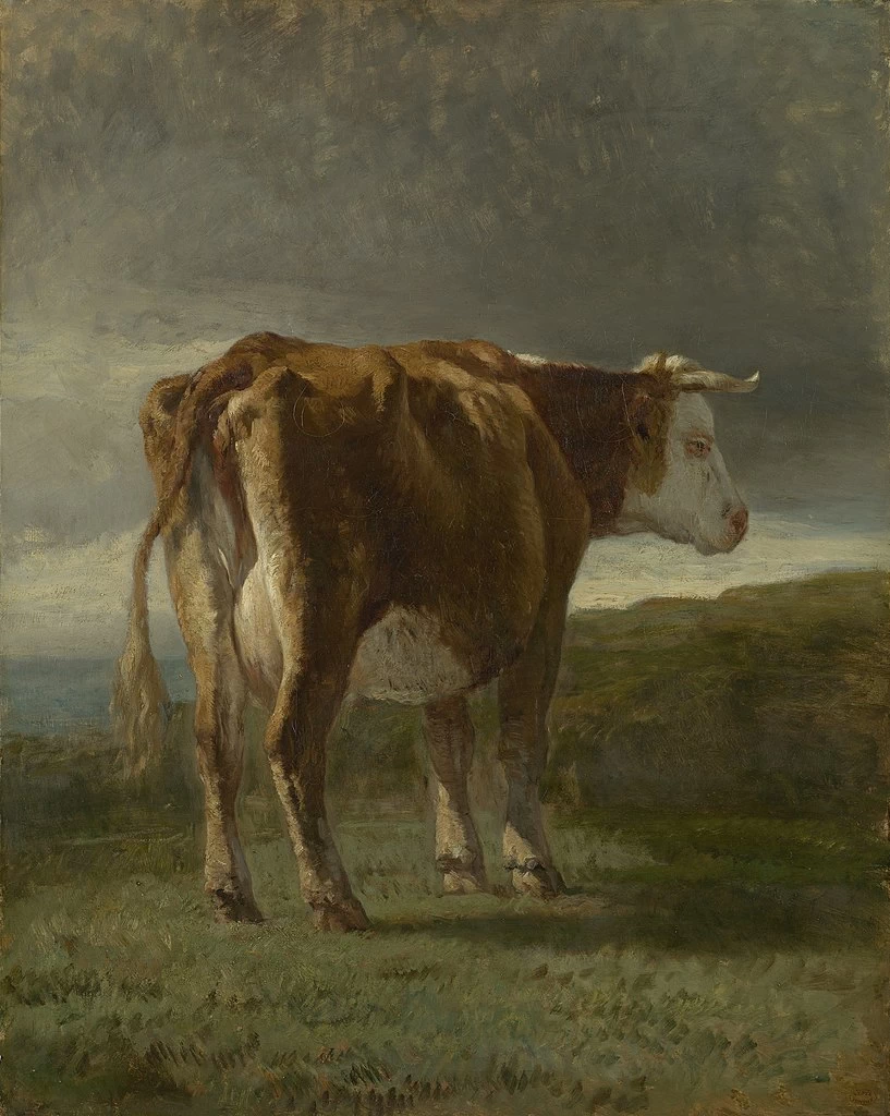 Mucca - The Mesdag Collection